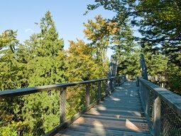 Quelle: Erlebnis Akademie AG/Baumwipfelpfad Bayerischer Wald Quelle: Erlebnis Akademie AG/Baumwipfelpfad Bayerischer Wald