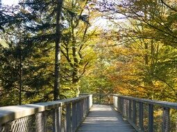 Quelle: Erlebnis Akademie AG/Baumwipfelpfad Bayerischer Wald Quelle: Erlebnis Akademie AG/Baumwipfelpfad Bayerischer Wald
