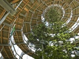 Quelle: Erlebnis Akademie AG/Baumwipfelpfad Bayerischer Wald Quelle: Erlebnis Akademie AG/Baumwipfelpfad Bayerischer Wald