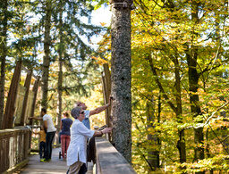 Erlebnis Akademie AG/Bayerischer Wald Erlebnis Akademie AG/Bayerischer Wald